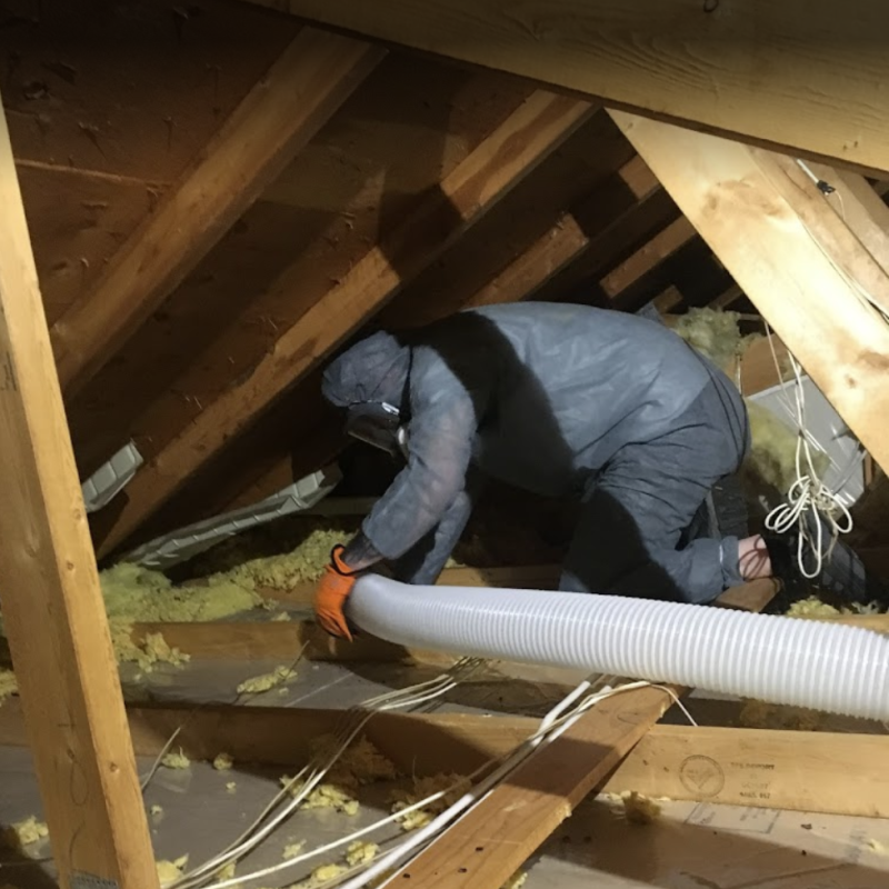 Attic Cleanup